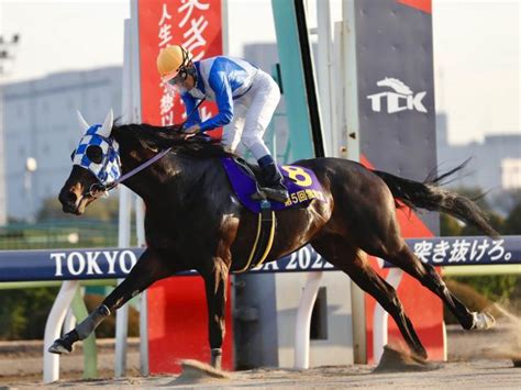 【大井・雲取賞結果】浦和のヒーローコールが人気に応えて重賞2勝目 競馬ニュース Netkeiba