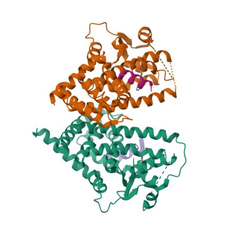 Rcsb Pdb Pdz Crystal Structure Of Ppargamma Ligand Binding Domain