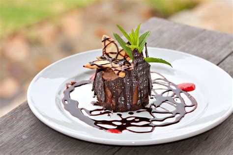 Chocolate mousse dessert stock photo. Image of plate - 18144740