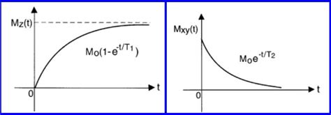 Constants Of Relaxation