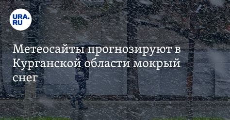 Метеосайты прогнозируют в Курганской области мокрый снег: скрин