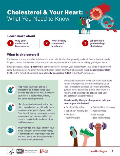 Cholesterol And Your Health What You Need To Know Nhlbi Nih