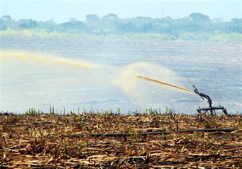 Irrigação Cana Vinhaça Portal Embrapa