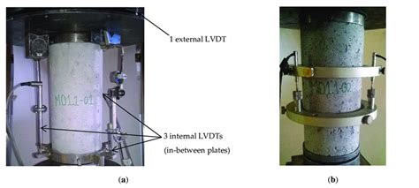 Experimental Set Up A Uniaxial Compression Test B Elasticity Modulus Download