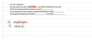 SOLVED 14 Label The Diagram Below To Summarize The Two Stages Of