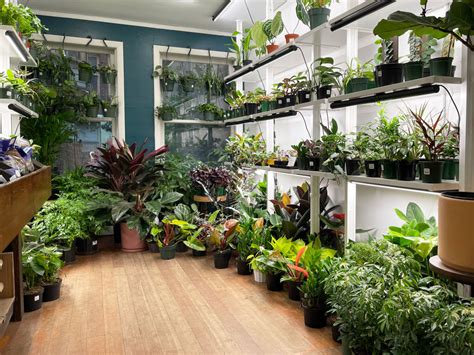 Must Visit Plant Shops And Nurseries In Portland Portland Monthly