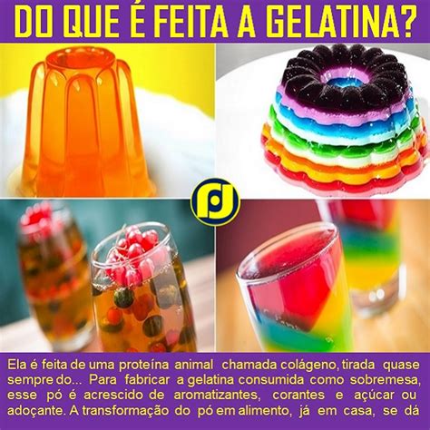 O Blog do JF Do que é feita a Gelatina