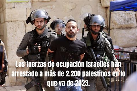 Palestina Internacional Broadcast on Twitter Vida de los jóvenes