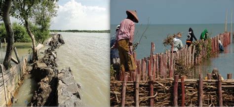 Nature Based Solutions A Cost Effective Approach For Disaster Risk And