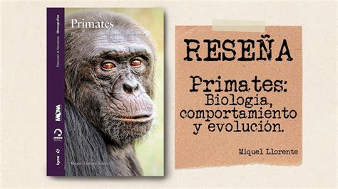 Primates Biolog A Comportamiento Y Evoluci N Libro Review Youtube