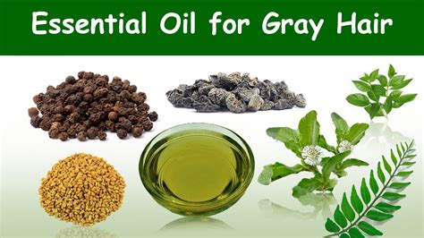 Essential Oil For Gray Hair Organic Essential Oils