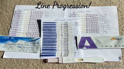 Pregnancy Test Line Progression 7dpo 19dpo 4 Different Pregnancy Tests Youtube