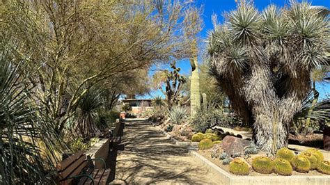 Botanical Garden At The Springs Preserve Las Vegas Flickr