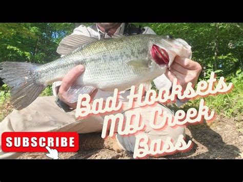 Bass Fishing Tiny Creeks In Maryland Bad Hooksets Youtube