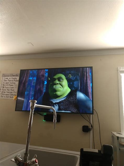 Watching Shrek In Science Class Rshrek