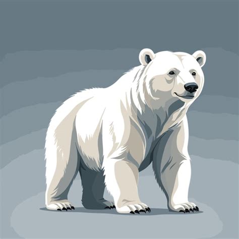 Premium Vector Polar Bear Vector