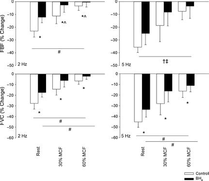 The Percentage Change Of Femoral Artery Blood Flow FBF And Femoral