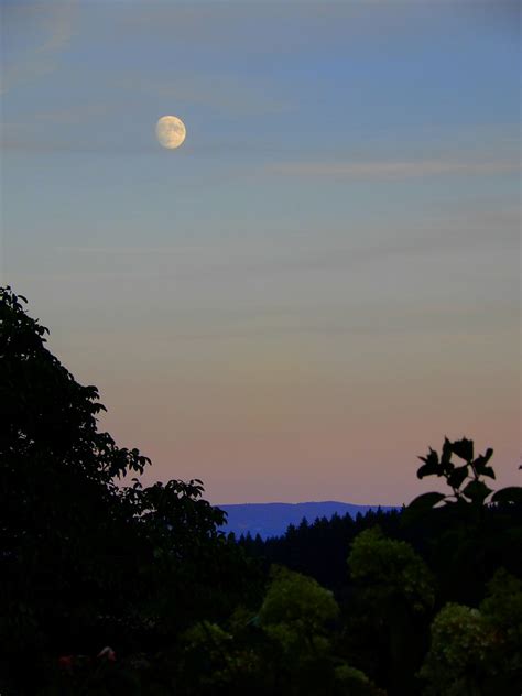 Lune pâle Françoise Flickr