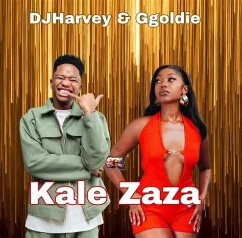 Djharvey And Ggoldie Kale Zaza Ft Zee Nxumalo Chley Tma Rsa Mafis Musiq Wise Fellas