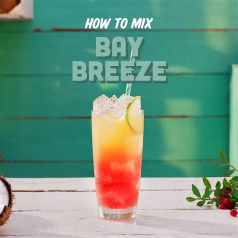 Bay Breeze Recipe Malibu Rum Drinks Video Recipe Video Malibu