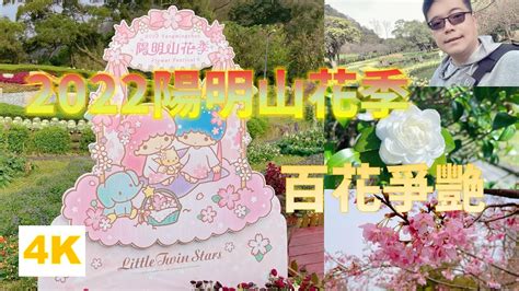 【賞花特輯 2022陽明山花季】茶花、杜鵑花、櫻花、水仙花百花齊放 Youtube