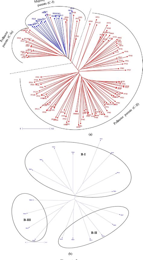 Figure From Utilization Of Molecular Marker Based Genetic Diversity