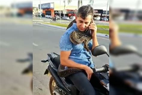 V Deo Homem Pilota Moto Jiboia Pendurada No Pesco O Em Goi S