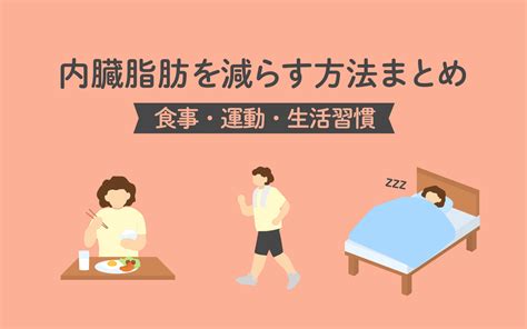 【医師監修】内臓脂肪を減らす方法～食事・運動・生活習慣の見直しを～ 美容と健康とビタミンc