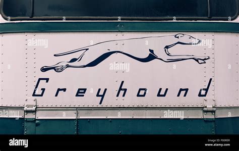 Greyhound Bus Logo