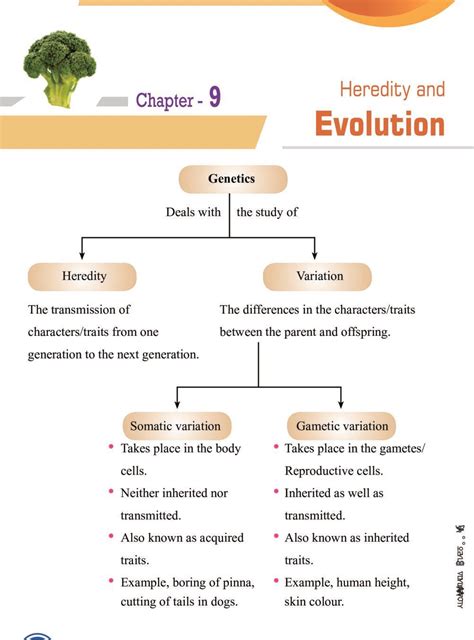 Workbook The Science Of Heredity