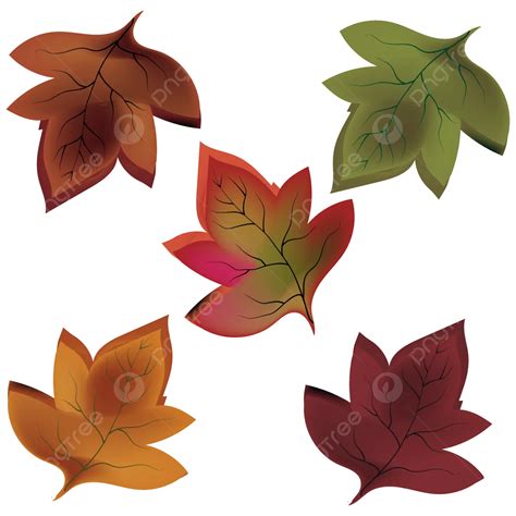 Autumn Fall Leaves Vector Autumn Fall Leaf Autumn Fall Leaves Autumn