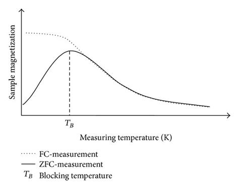 Scheme Of The Temperature Dependent Magnetization In An Fc Or