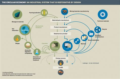 Editorial Circles Cycles And Loops Biocycle