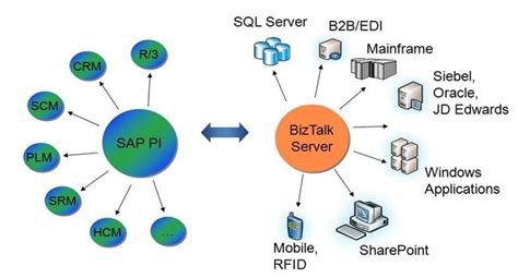 Sap Pi Full Form And Meaning