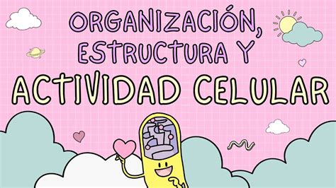 Clase Eje Organizaci N Estructura Y Actividad Celular Youtube