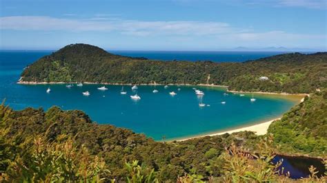 9 of the best Abel Tasman beaches | Intrepid Travel Blog - The Journal