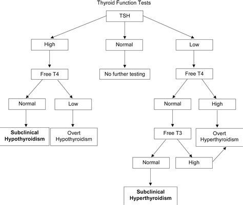 Decision Making In Subclinical Thyroid Disease Medical Clinics