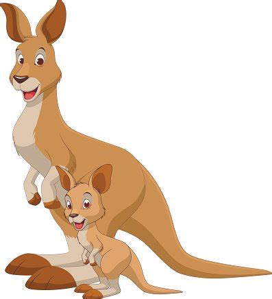 Cartoon Baby Kangaroo Stock Vector Image Art Alamy Clip Art Library