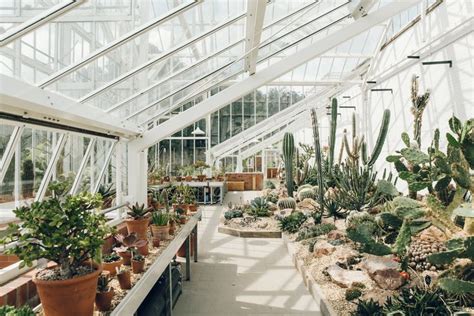 Dyffryn Gardens Greenhouses Cardiff South Wales Haarkon