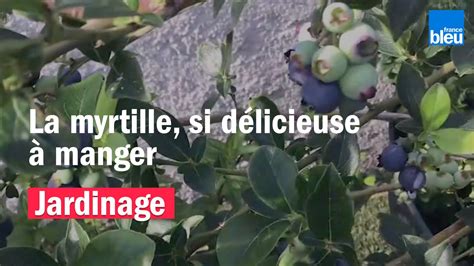 Roland Motte jardinier la myrtille délicieuse à manger Vidéo