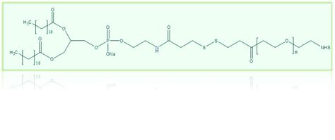 Dspe Peg Biotin Csdn