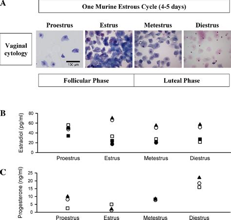 Figure From Call For Papers Sex And Gender Differences In