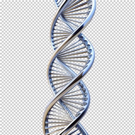 Dna On Transparent Background Premium Ai Generated Psd
