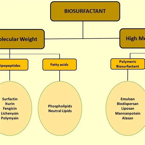 Classification Of Biosurfactant Download Scientific Diagram