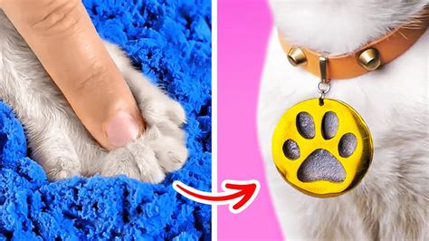 Gadgets Para Perros Y Manualidades Para Gatos Que Agradecer S Youtube