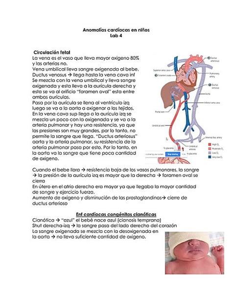 Anomalías cardíacas en niños Andrea Mota uDocz