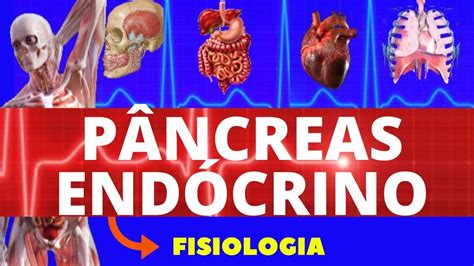 Fisiologia Do P Ncreas End Crino Fisiologia De Guyton Insulina E