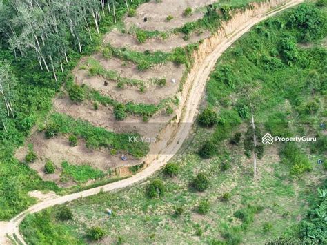 Acres Musang King Orchard Land For Sale Lenggong Hulu Perak Perak