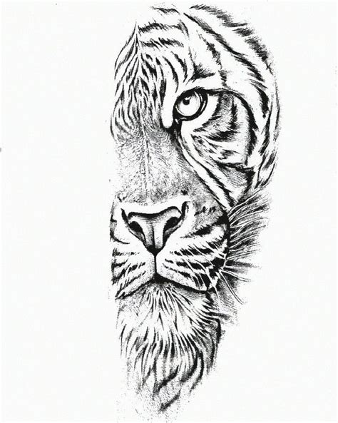 Pin By William Lago On Estudo In Tiger Tattoo Design Lion Head