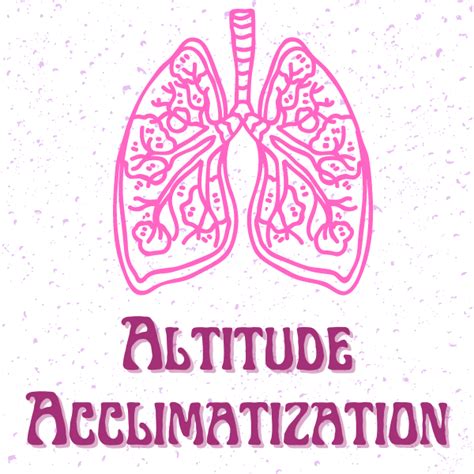 Process of acclimatization to high altitude - NET Life Sciences